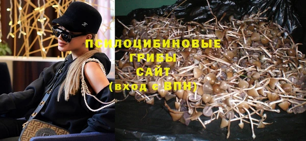 мдпв Киреевск