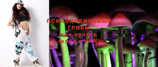 мдпв Киреевск