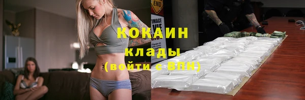 мдпв Киреевск