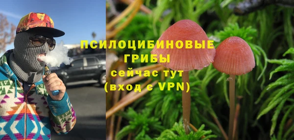 мдпв Козельск