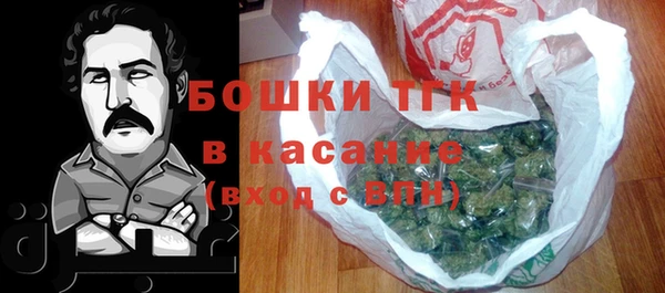 мдпв Киреевск