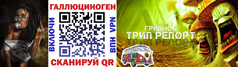 Галлюциногенные грибы Cubensis Балабаново