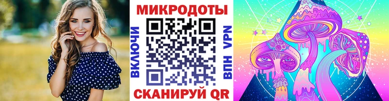 Купить  Балабаново  Галлюциногенные грибы Psilocybe 